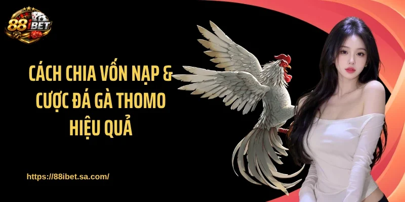 Cách chia vốn nạp & cược đá gà Thomo hiệu quả