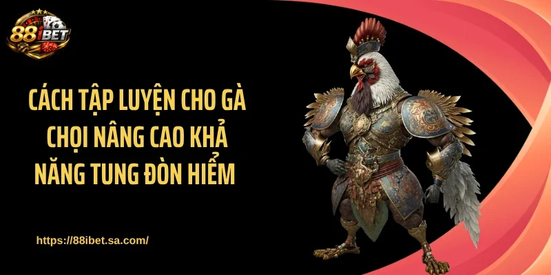 Cách tập luyện cho gà chọi nâng cao khả năng tung đòn hiểm 