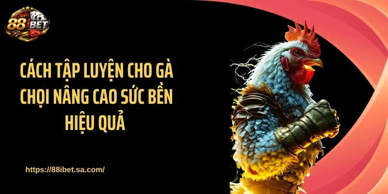 Cách tập luyện cho gà chọi nâng cao sức bền hiệu quả 