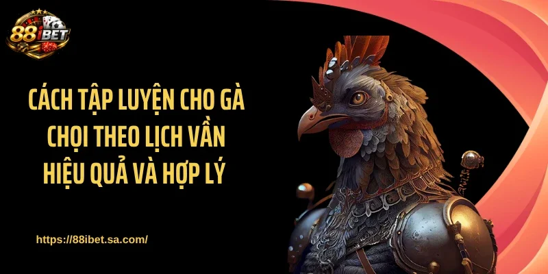 Cách tập luyện cho gà chọi theo lịch vần hiệu quả và hợp lý 