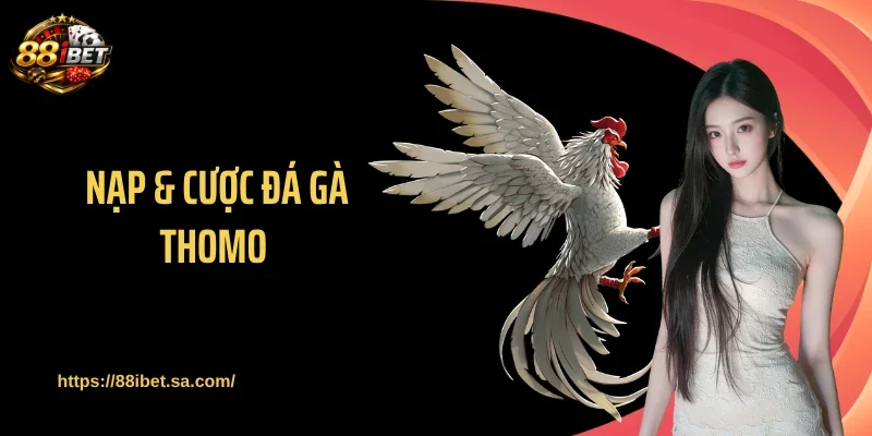 Nạp & Cược Đá Gà Thomo: Bí Quyết Ăn Tiền Cực Nhanh