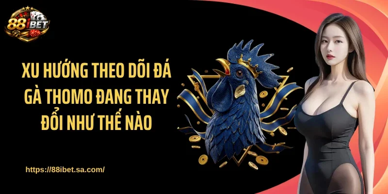 Xu hướng theo dõi đá gà thomo đang thay đổi như thế nào